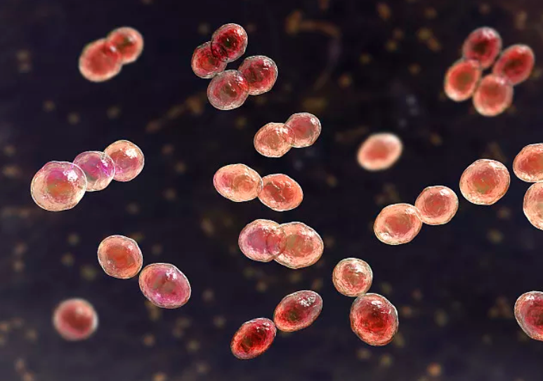 食品微生物实验室污水处理设备，微生物实验室污水处理法