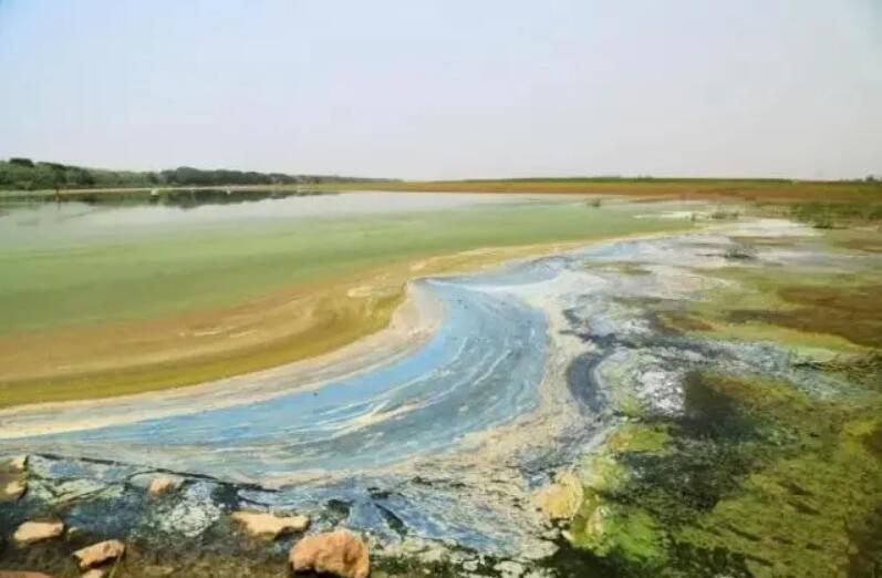 靖江水体治理实践：四项机制提升水环境质量|中科瑞沃环保新闻